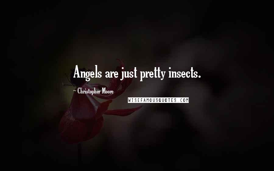 Christopher Moore Quotes: Angels are just pretty insects.