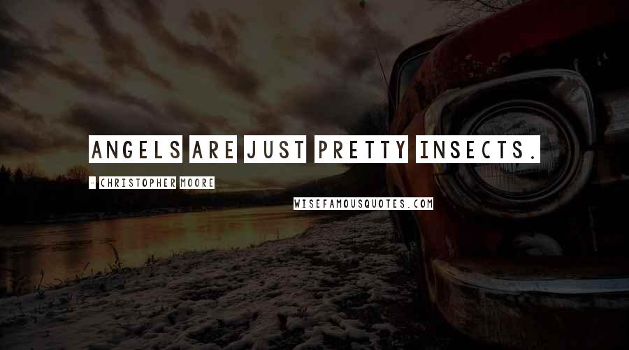 Christopher Moore Quotes: Angels are just pretty insects.