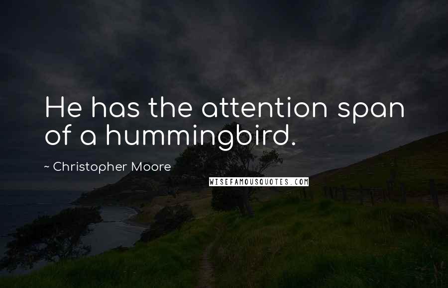 Christopher Moore Quotes: He has the attention span of a hummingbird.