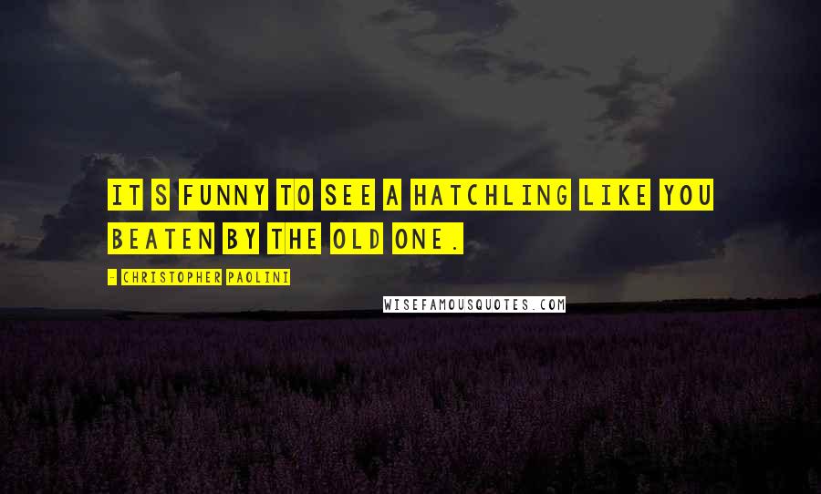 Christopher Paolini Quotes: It s funny to see a hatchling like you beaten by the old one.