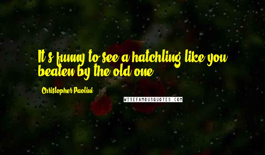 Christopher Paolini Quotes: It s funny to see a hatchling like you beaten by the old one.
