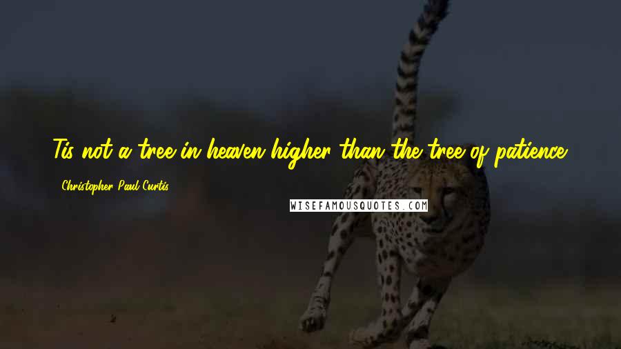 Christopher Paul Curtis Quotes: Tis not a tree in heaven higher than the tree of patience.