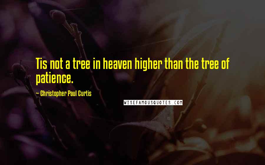 Christopher Paul Curtis Quotes: Tis not a tree in heaven higher than the tree of patience.