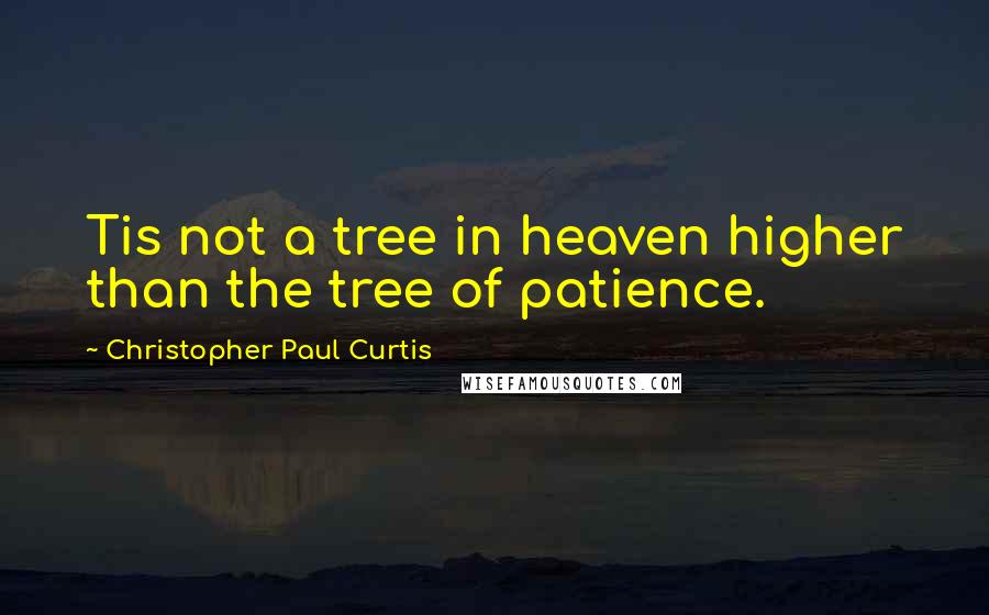 Christopher Paul Curtis Quotes: Tis not a tree in heaven higher than the tree of patience.