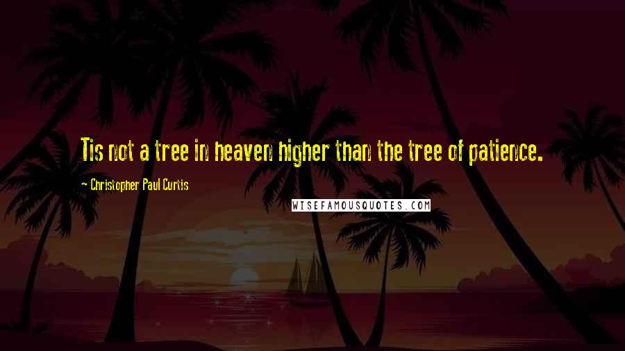 Christopher Paul Curtis Quotes: Tis not a tree in heaven higher than the tree of patience.