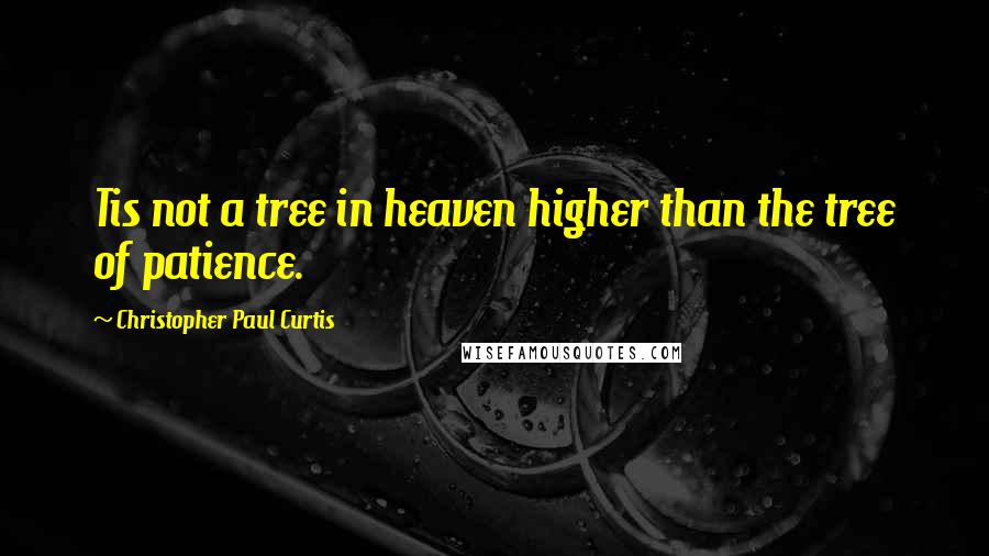 Christopher Paul Curtis Quotes: Tis not a tree in heaven higher than the tree of patience.