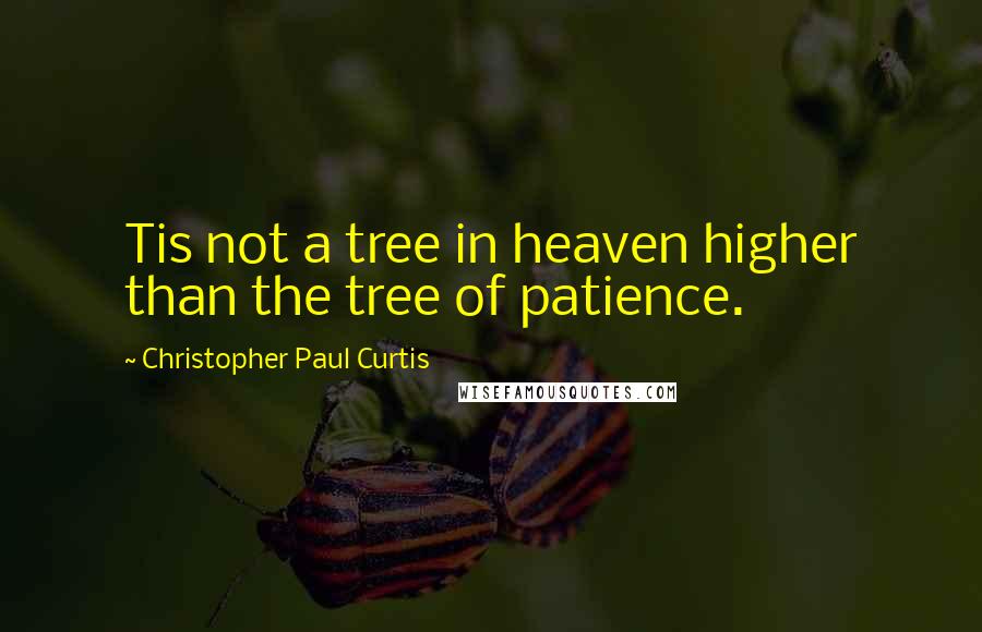 Christopher Paul Curtis Quotes: Tis not a tree in heaven higher than the tree of patience.