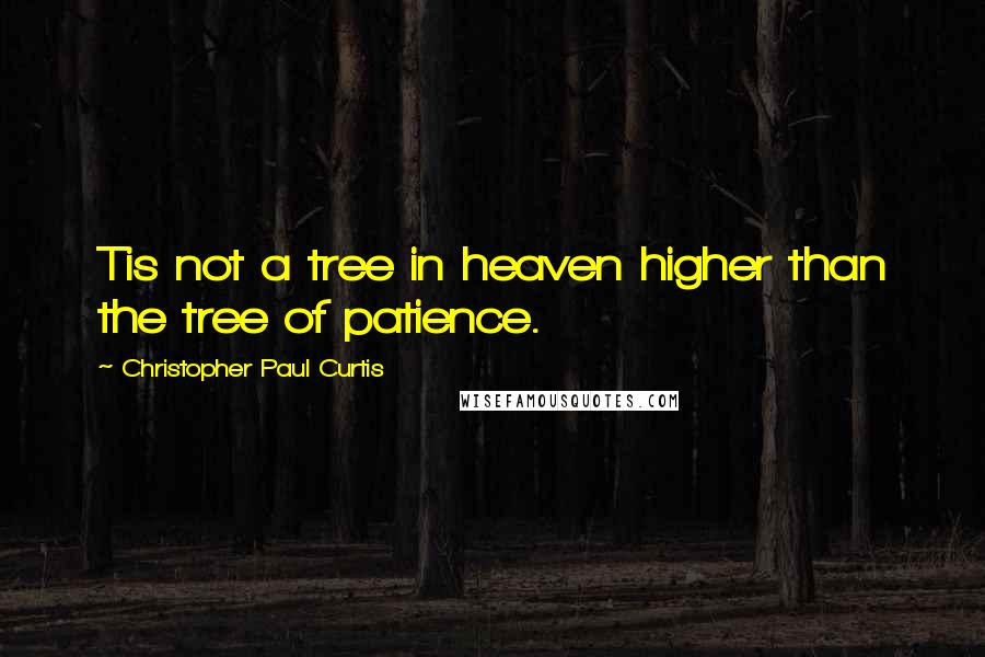 Christopher Paul Curtis Quotes: Tis not a tree in heaven higher than the tree of patience.