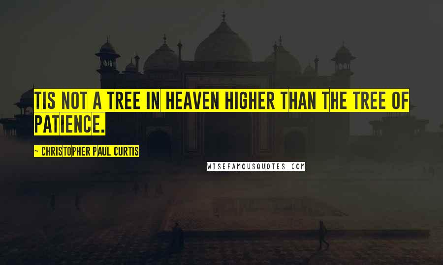 Christopher Paul Curtis Quotes: Tis not a tree in heaven higher than the tree of patience.