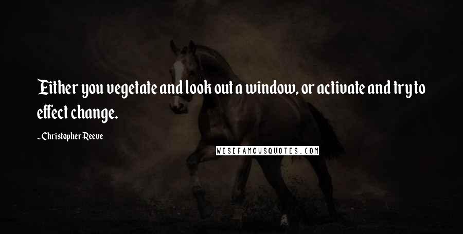 Christopher Reeve Quotes: Either you vegetate and look out a window, or activate and try to effect change.