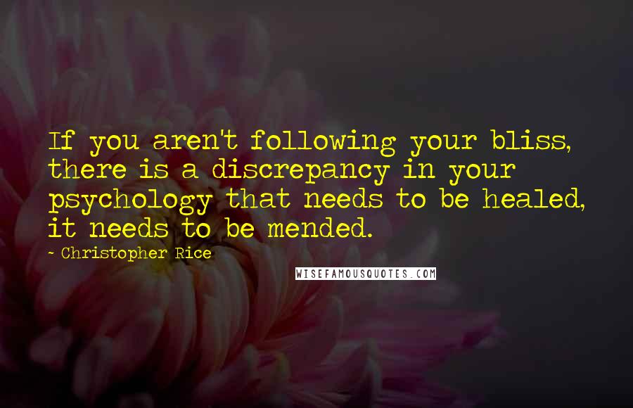 Christopher Rice Quotes: If you aren't following your bliss, there is a discrepancy in your psychology that needs to be healed, it needs to be mended.