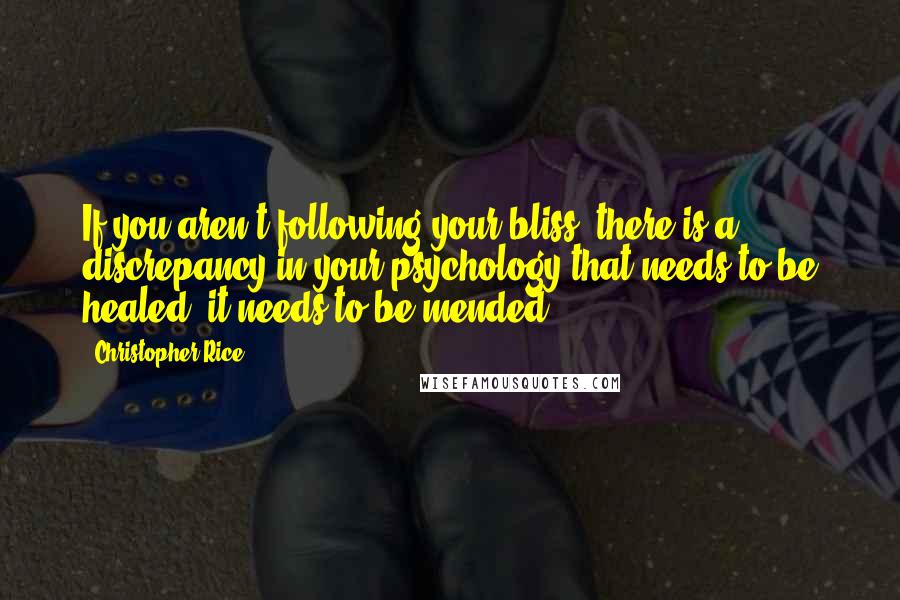 Christopher Rice Quotes: If you aren't following your bliss, there is a discrepancy in your psychology that needs to be healed, it needs to be mended.