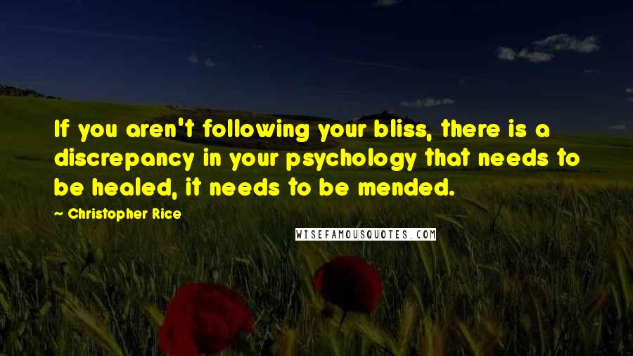 Christopher Rice Quotes: If you aren't following your bliss, there is a discrepancy in your psychology that needs to be healed, it needs to be mended.