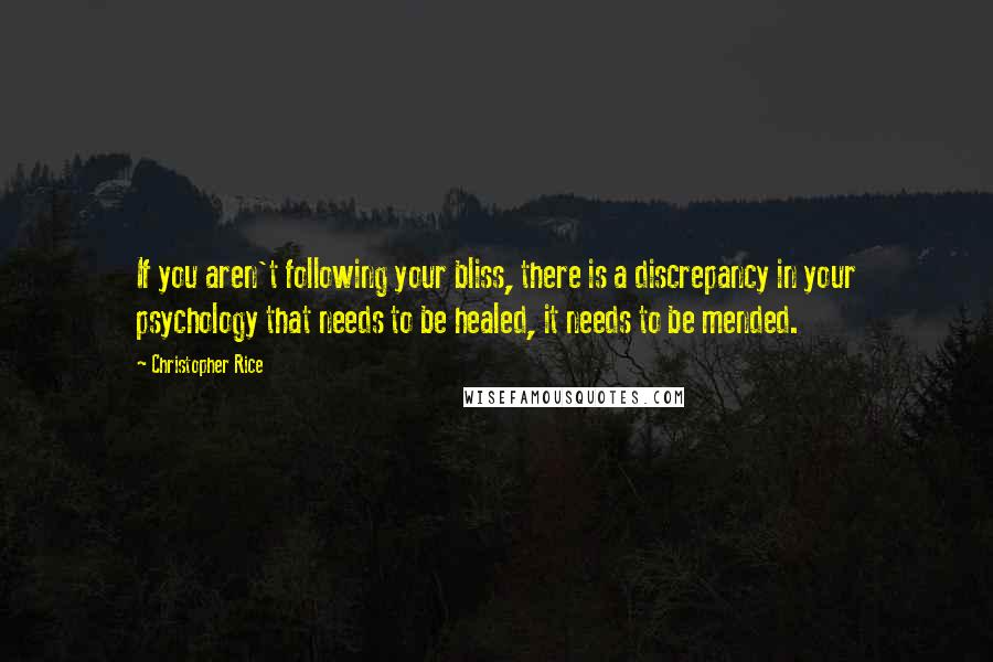 Christopher Rice Quotes: If you aren't following your bliss, there is a discrepancy in your psychology that needs to be healed, it needs to be mended.