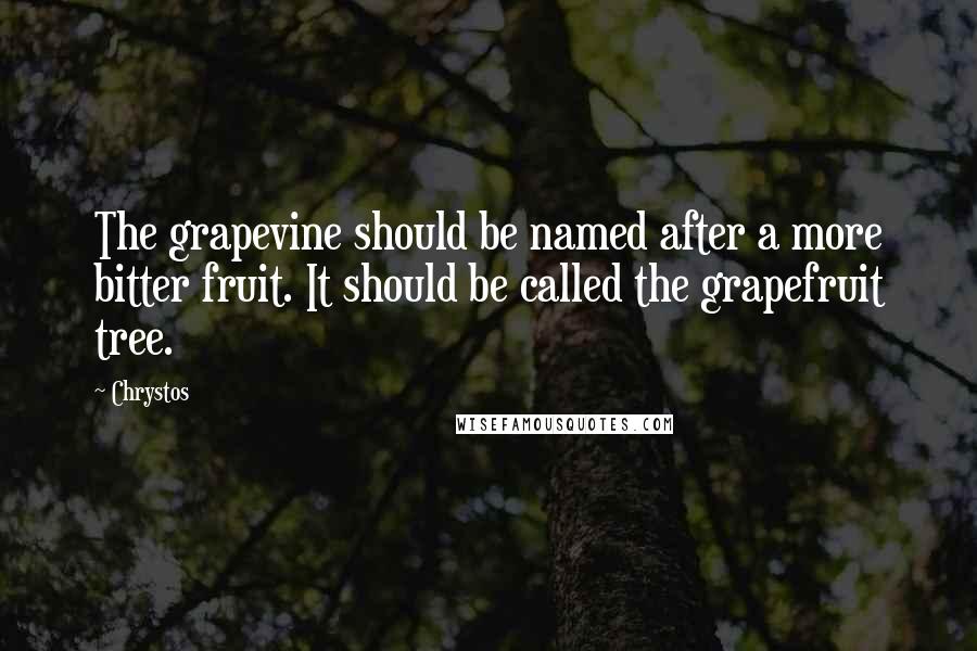 Chrystos Quotes: The grapevine should be named after a more bitter fruit. It should be called the grapefruit tree.