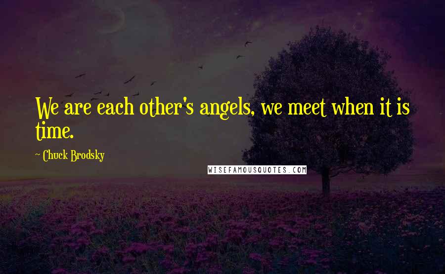 Chuck Brodsky Quotes: We are each other's angels, we meet when it is time.