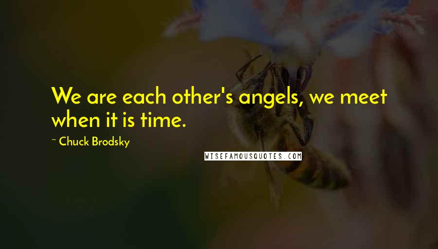 Chuck Brodsky Quotes: We are each other's angels, we meet when it is time.