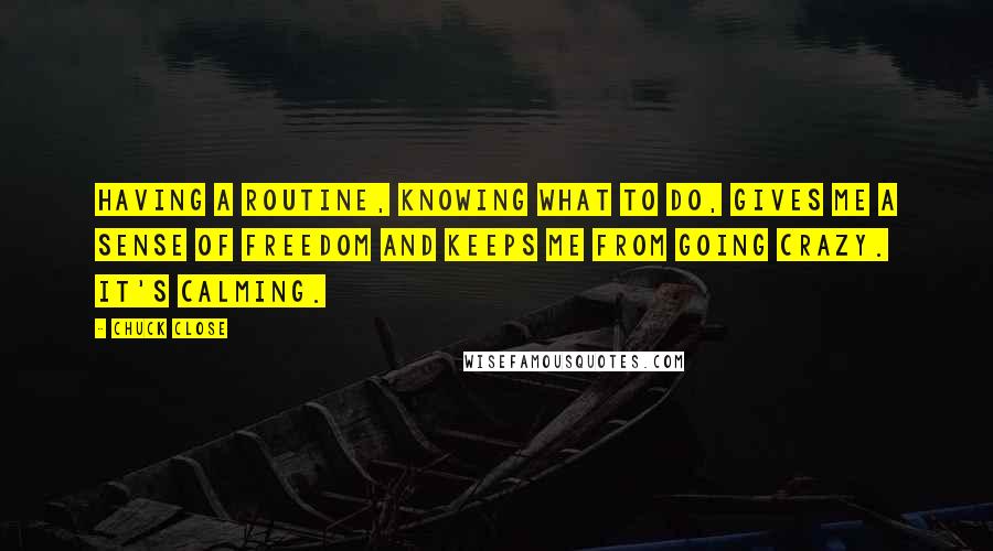 Chuck Close Quotes: Having a routine, knowing what to do, gives me a sense of freedom and keeps me from going crazy. It's calming.