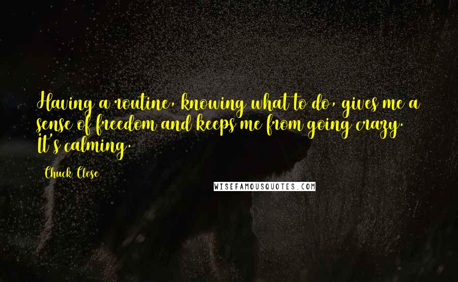 Chuck Close Quotes: Having a routine, knowing what to do, gives me a sense of freedom and keeps me from going crazy. It's calming.