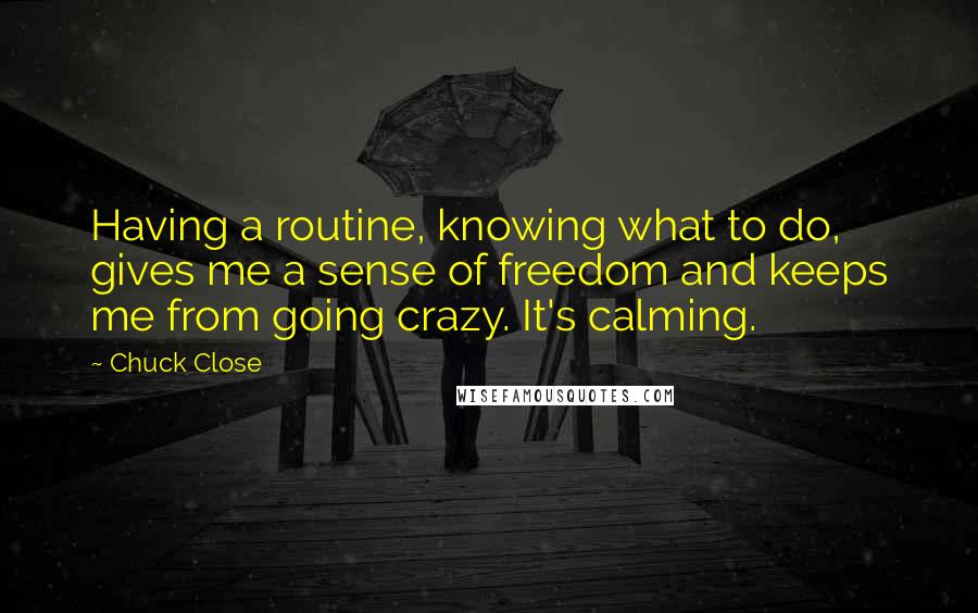 Chuck Close Quotes: Having a routine, knowing what to do, gives me a sense of freedom and keeps me from going crazy. It's calming.