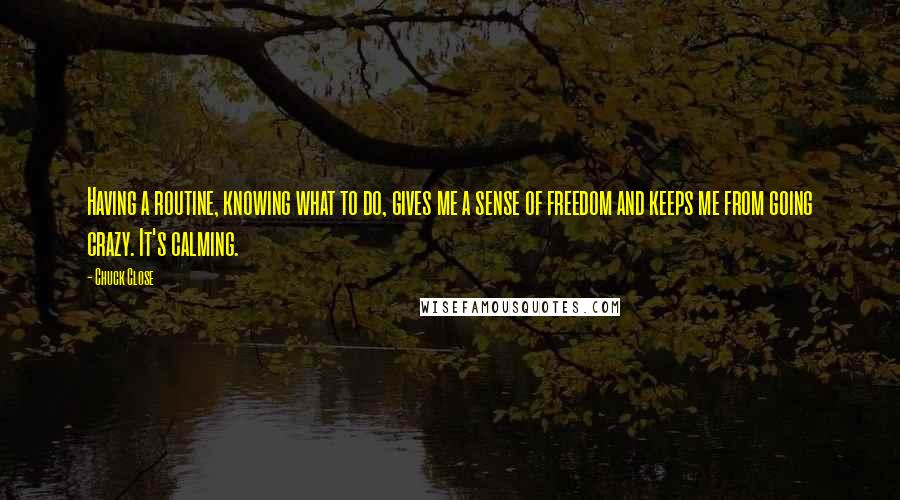 Chuck Close Quotes: Having a routine, knowing what to do, gives me a sense of freedom and keeps me from going crazy. It's calming.