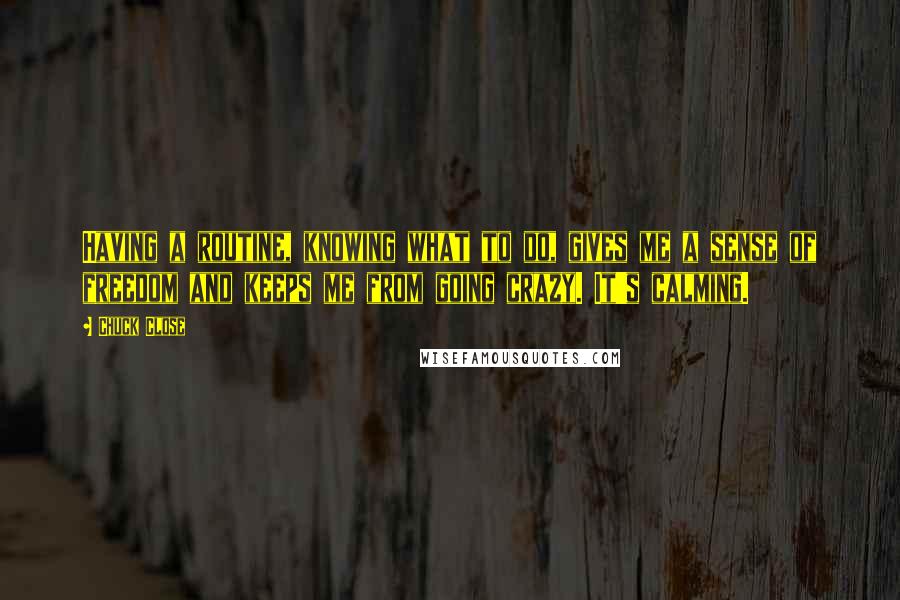 Chuck Close Quotes: Having a routine, knowing what to do, gives me a sense of freedom and keeps me from going crazy. It's calming.
