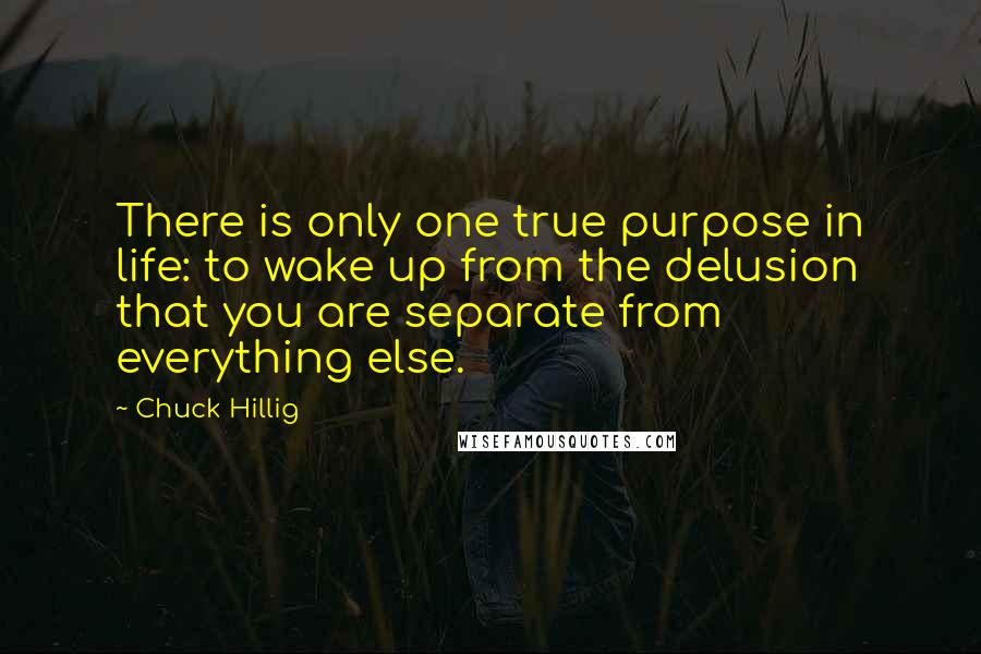 Chuck Hillig Quotes: There is only one true purpose in life: to wake up from the delusion that you are separate from everything else.