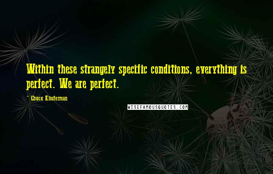 Chuck Klosterman Quotes: Within these strangely specific conditions, everything is perfect. We are perfect.