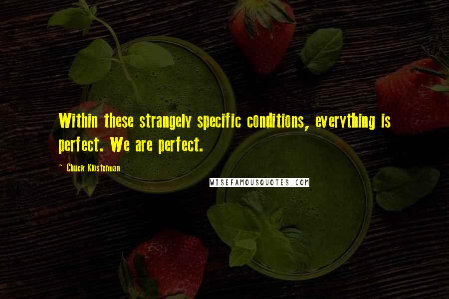 Chuck Klosterman Quotes: Within these strangely specific conditions, everything is perfect. We are perfect.