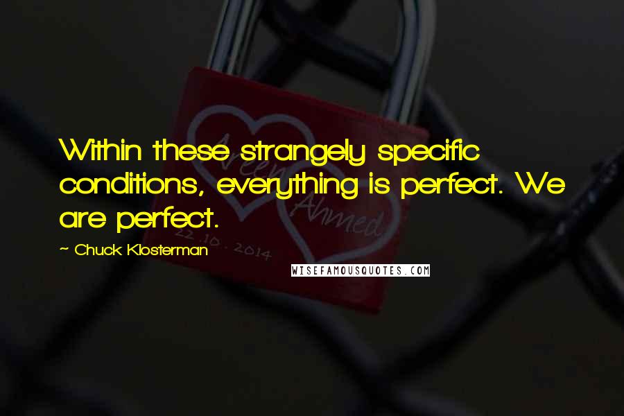 Chuck Klosterman Quotes: Within these strangely specific conditions, everything is perfect. We are perfect.