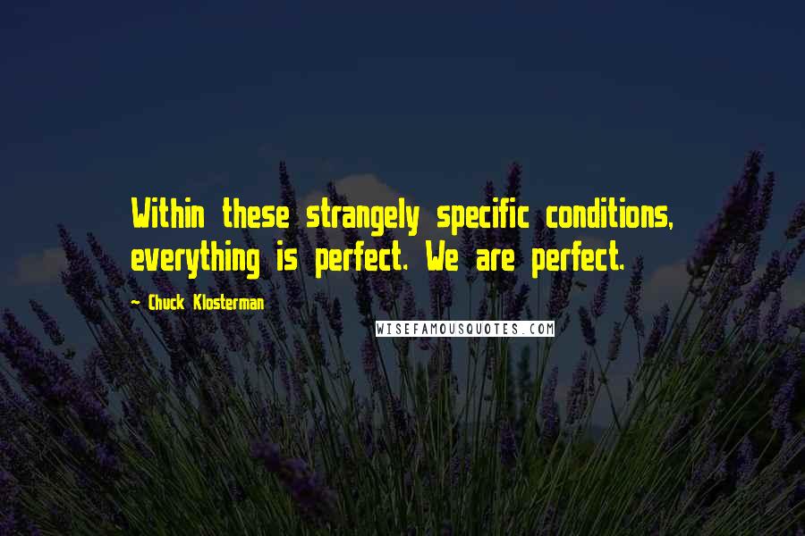 Chuck Klosterman Quotes: Within these strangely specific conditions, everything is perfect. We are perfect.