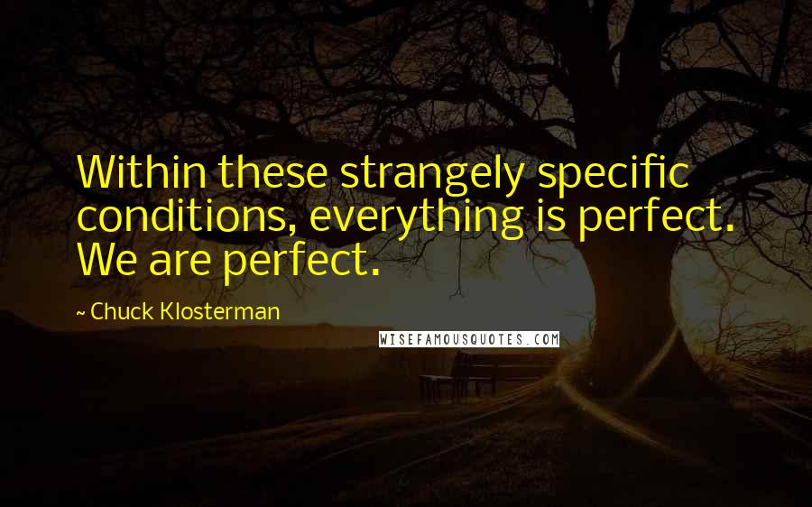 Chuck Klosterman Quotes: Within these strangely specific conditions, everything is perfect. We are perfect.