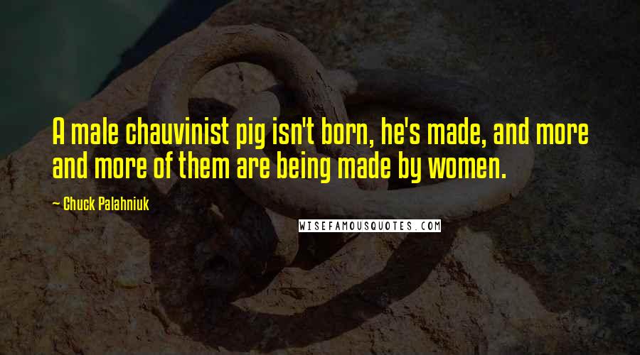 Chuck Palahniuk Quotes: A male chauvinist pig isn't born, he's made, and more and more of them are being made by women.