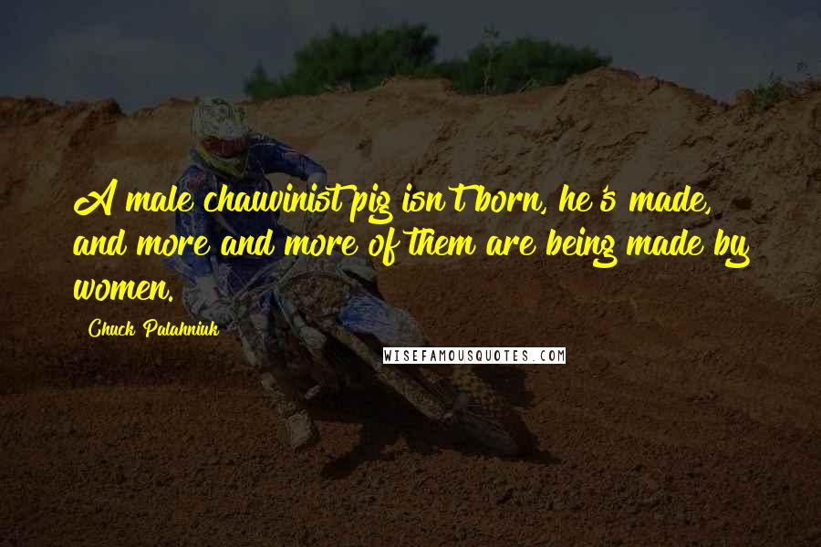 Chuck Palahniuk Quotes: A male chauvinist pig isn't born, he's made, and more and more of them are being made by women.