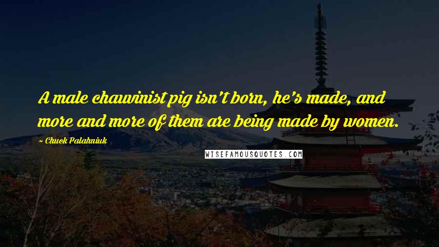 Chuck Palahniuk Quotes: A male chauvinist pig isn't born, he's made, and more and more of them are being made by women.