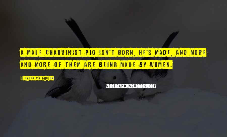 Chuck Palahniuk Quotes: A male chauvinist pig isn't born, he's made, and more and more of them are being made by women.