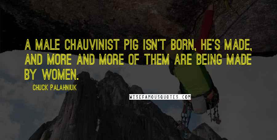 Chuck Palahniuk Quotes: A male chauvinist pig isn't born, he's made, and more and more of them are being made by women.