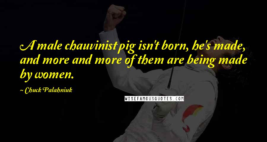 Chuck Palahniuk Quotes: A male chauvinist pig isn't born, he's made, and more and more of them are being made by women.