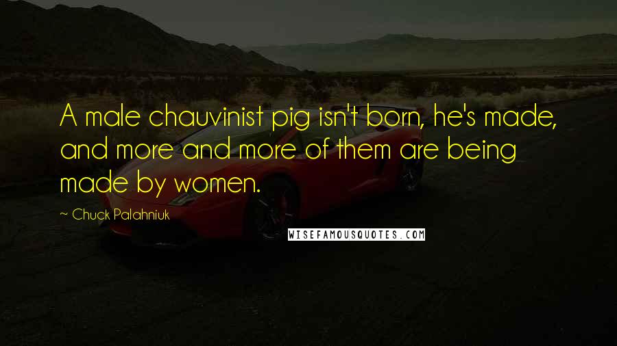 Chuck Palahniuk Quotes: A male chauvinist pig isn't born, he's made, and more and more of them are being made by women.