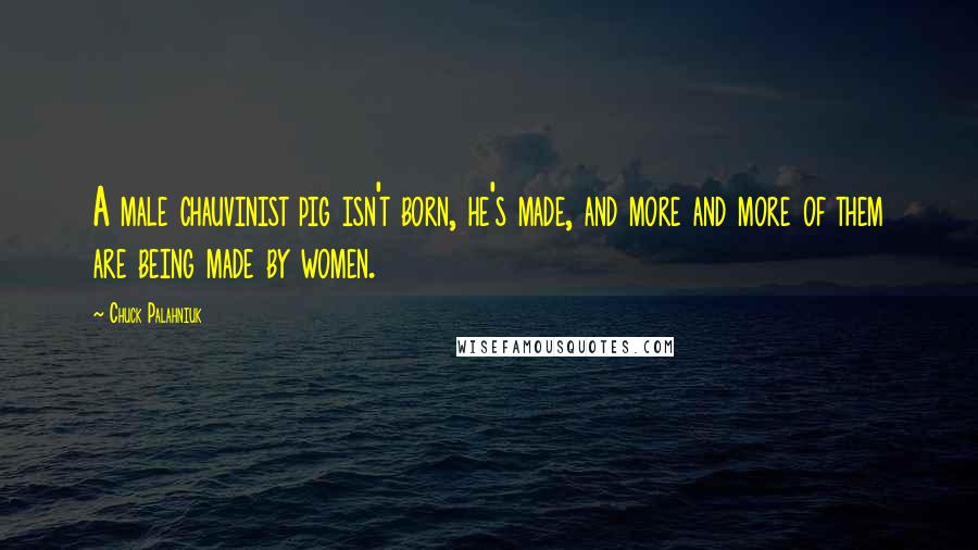 Chuck Palahniuk Quotes: A male chauvinist pig isn't born, he's made, and more and more of them are being made by women.