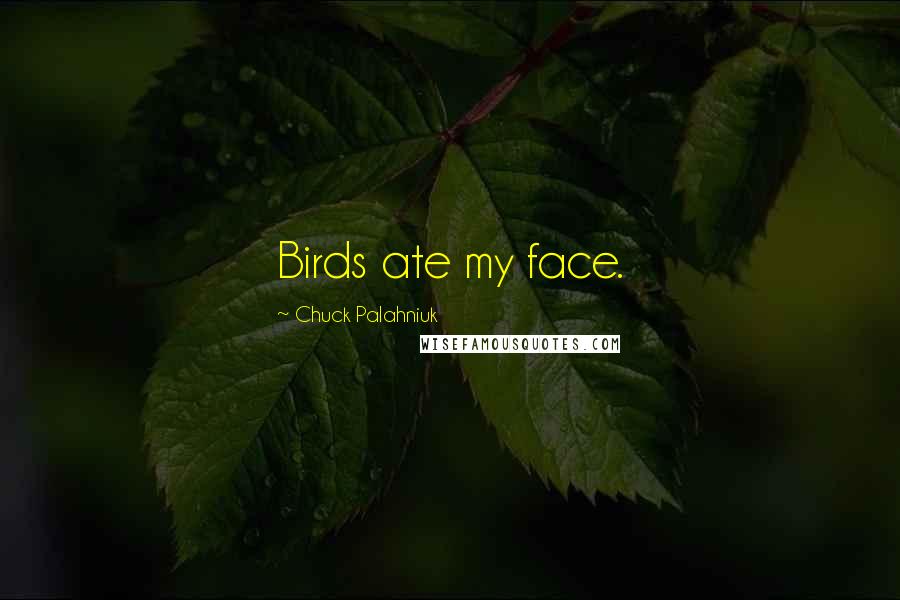 Chuck Palahniuk Quotes: Birds ate my face.