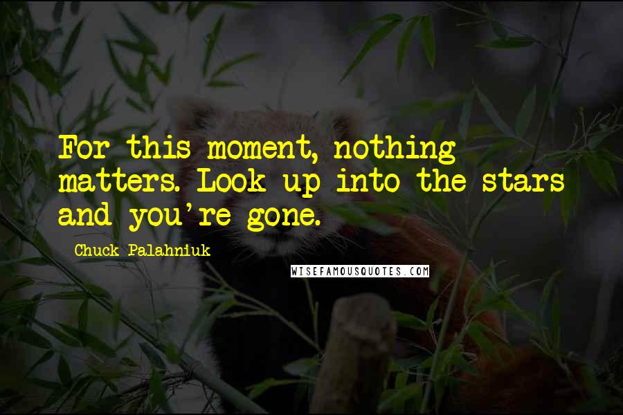 Chuck Palahniuk Quotes: For this moment, nothing matters. Look up into the stars and you're gone.