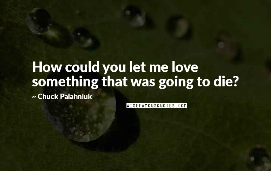 Chuck Palahniuk Quotes: How could you let me love something that was going to die?