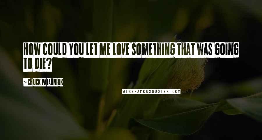 Chuck Palahniuk Quotes: How could you let me love something that was going to die?