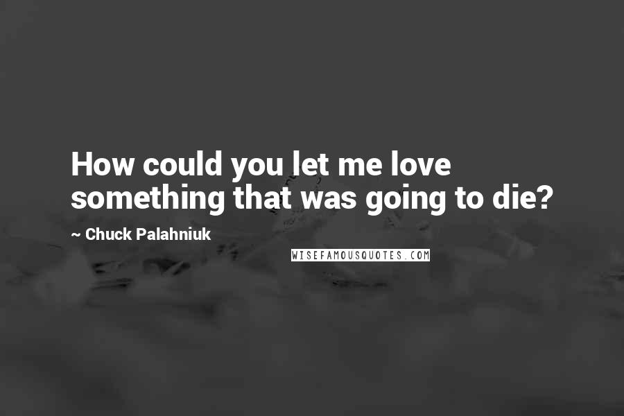 Chuck Palahniuk Quotes: How could you let me love something that was going to die?