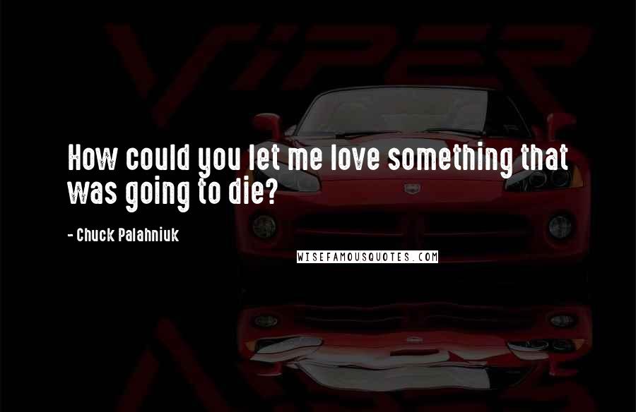 Chuck Palahniuk Quotes: How could you let me love something that was going to die?