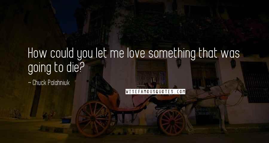 Chuck Palahniuk Quotes: How could you let me love something that was going to die?