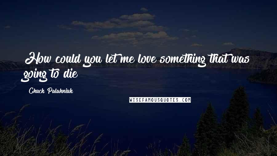 Chuck Palahniuk Quotes: How could you let me love something that was going to die?