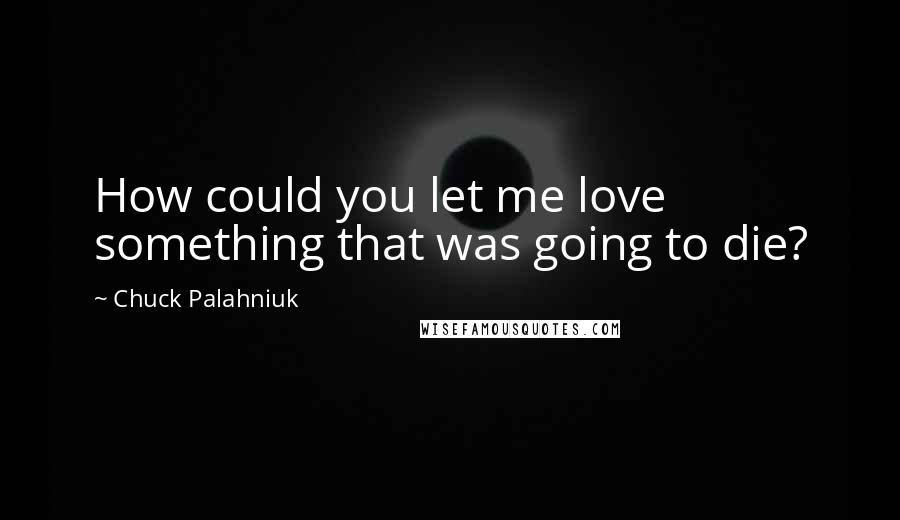 Chuck Palahniuk Quotes: How could you let me love something that was going to die?