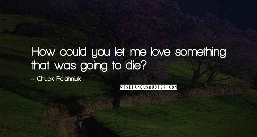 Chuck Palahniuk Quotes: How could you let me love something that was going to die?